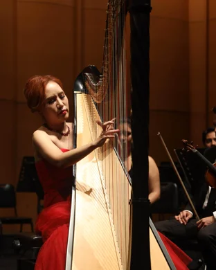 Songbird - Karine Hannah Sings Barbra Streisand Flat Rock