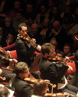 Music of Five Brevard