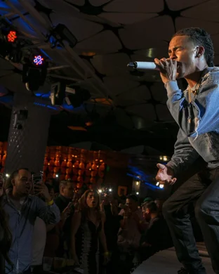 The Black Twig Pickers