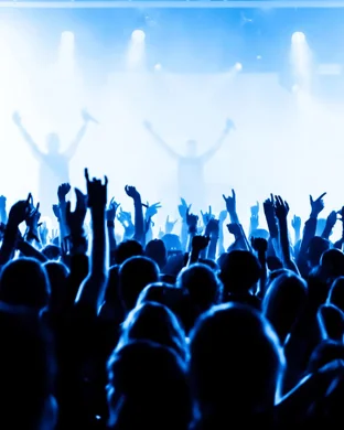 Grateful Dub - Grateful Dead Tribute