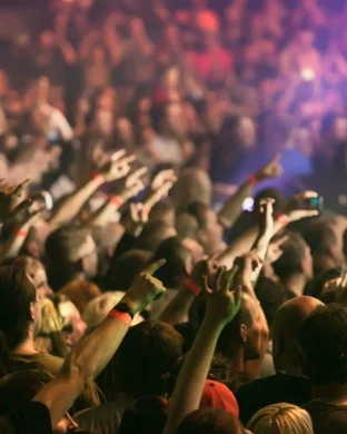 Manic Focus & SunSquabi