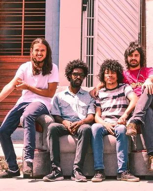 Boogarins