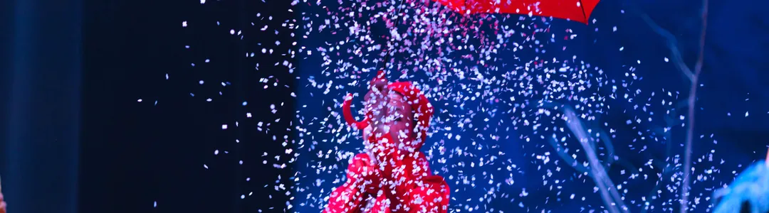 Solstice - A Winter Circus Experience