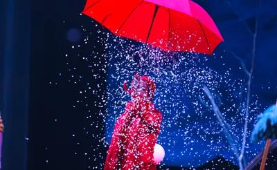 Solstice - A Winter Circus Experience