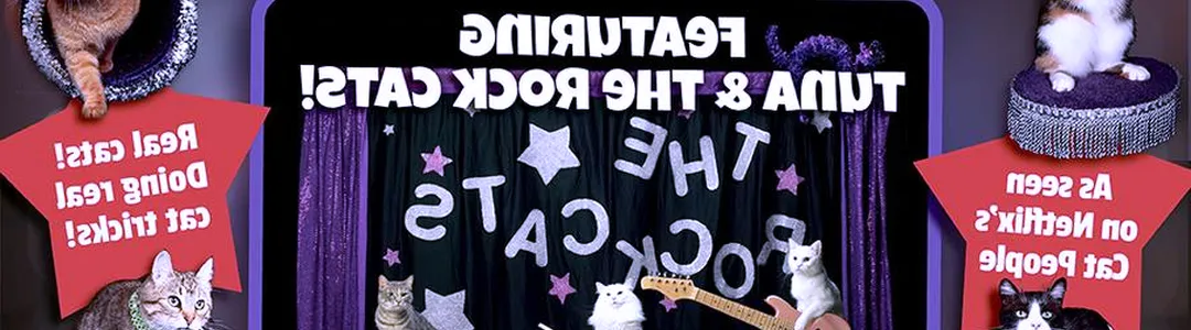 The Amazing Acro-Cats