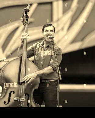 The Avett Brothers