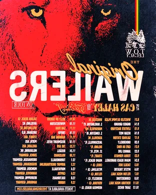 Live concert by The Wailers