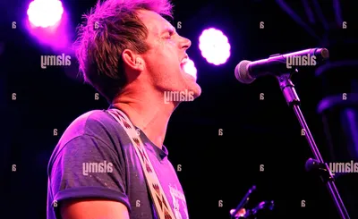 Tyler Hilton