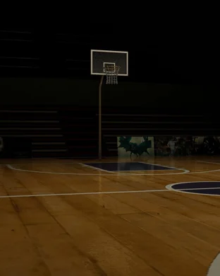 Ingles Southern Conference Basketball Championships: Men's Championship Game sports event