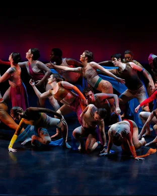 Momentum Dance Project