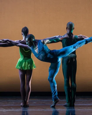 Ailey II: The Next Generation of Dance